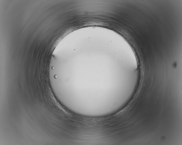 X0000115241377200912111044