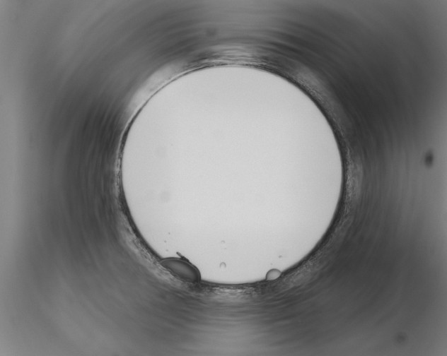 X0000115241378200912111044