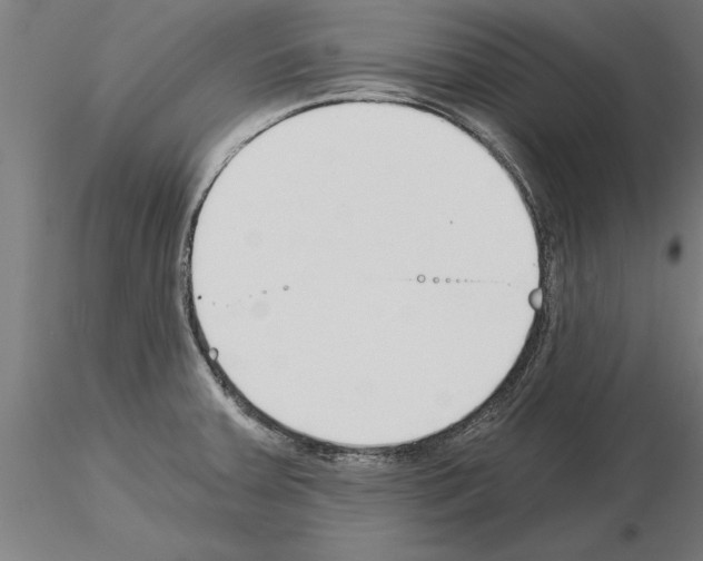 X0000115241379200912111044