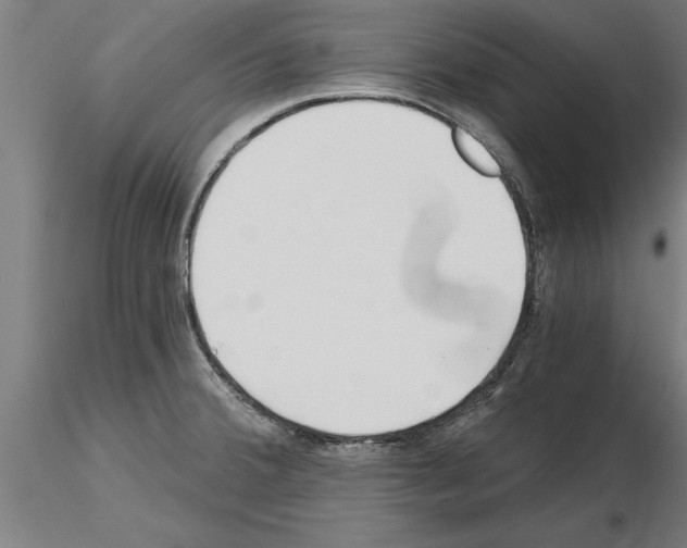 X0000115241380200912111044