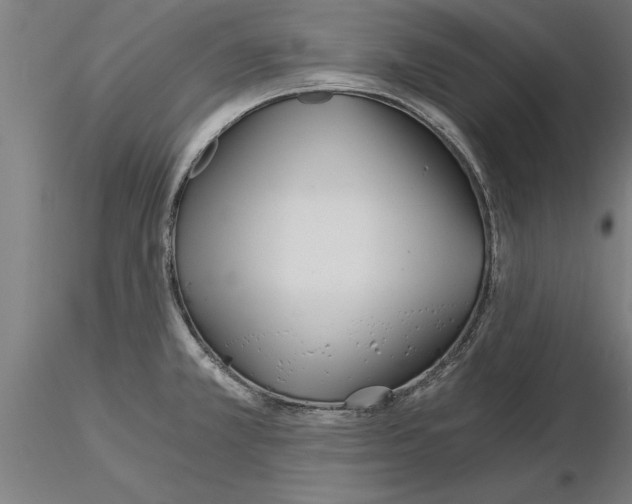 X0000115241381200912111044