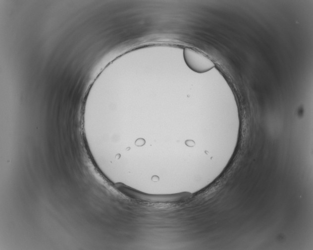 X0000115241382200912111044