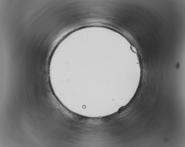 X0000115241384200912111044