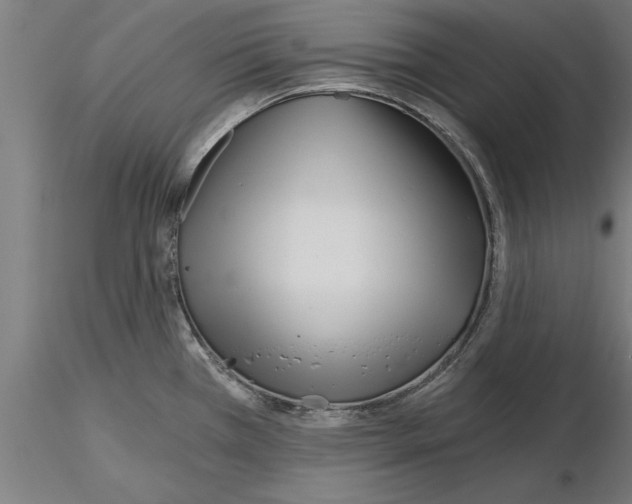 X0000115241385200912111044