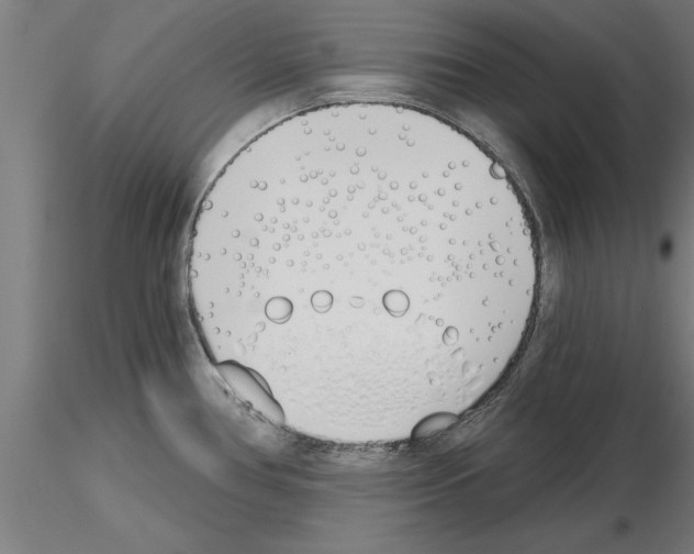 X0000115241386200912111044