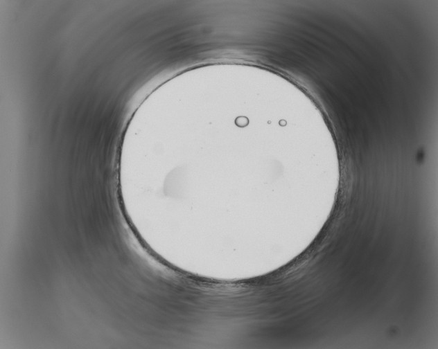 X0000115241387200912111044