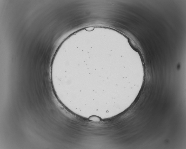 X0000115241388200912111044