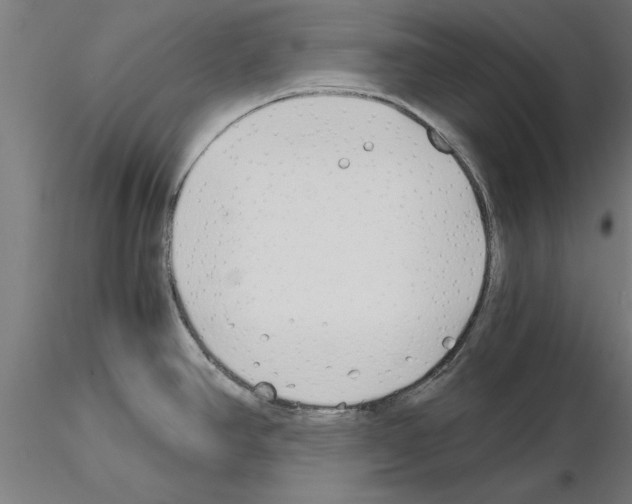 X0000115241390200912111044