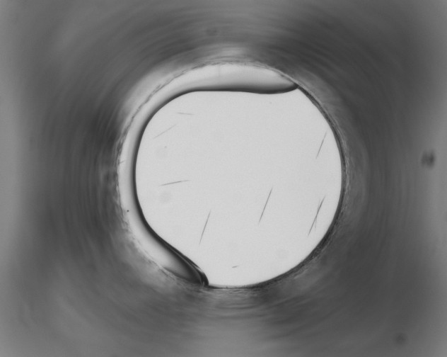 X0000115241392200912111044