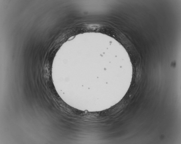 X0000115241394200912111043