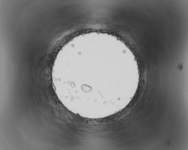 X0000115241398200912111043