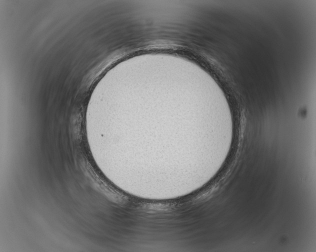 X0000115241401200912111043