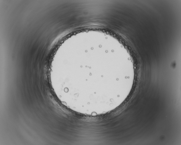 X0000115241402200912111043