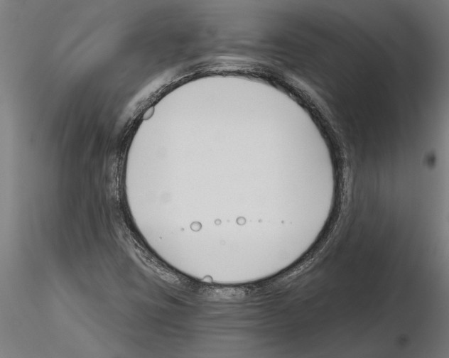 X0000115241403200912111043