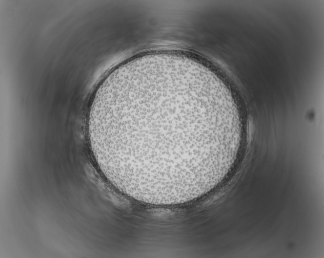 X0000115241405200912111043