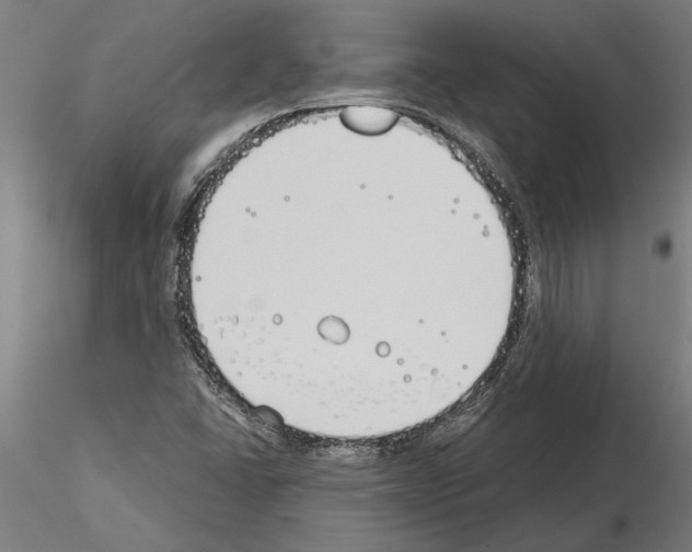 X0000115241406200912111043