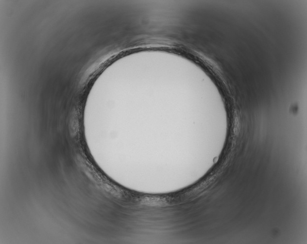 X0000115241407200912111043