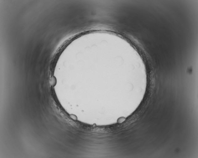 X0000115241408200912111043