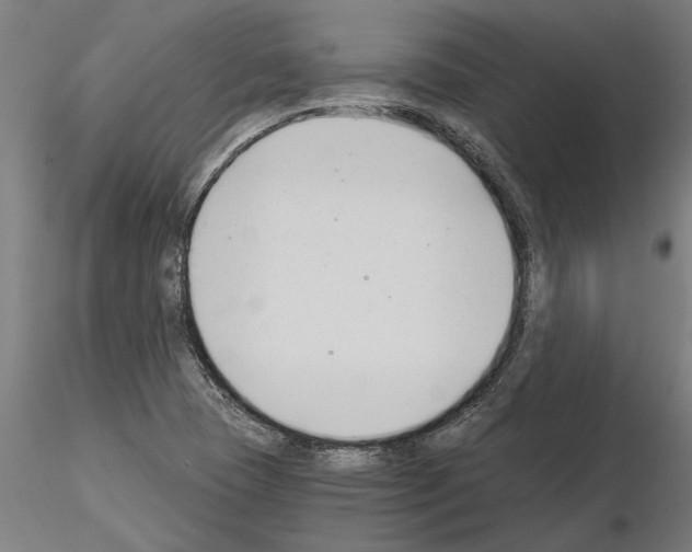 X0000115241409200912111043