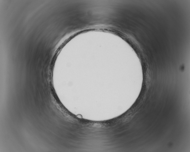 X0000115241412200912111044