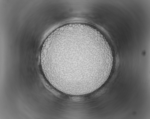 X0000115241413200912111044