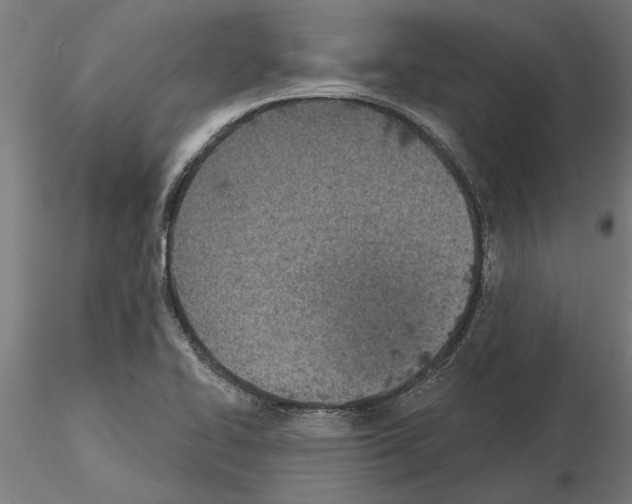 X0000115241414200912111044