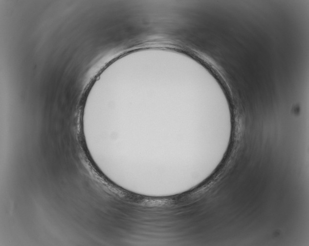 X0000115241415200912111044