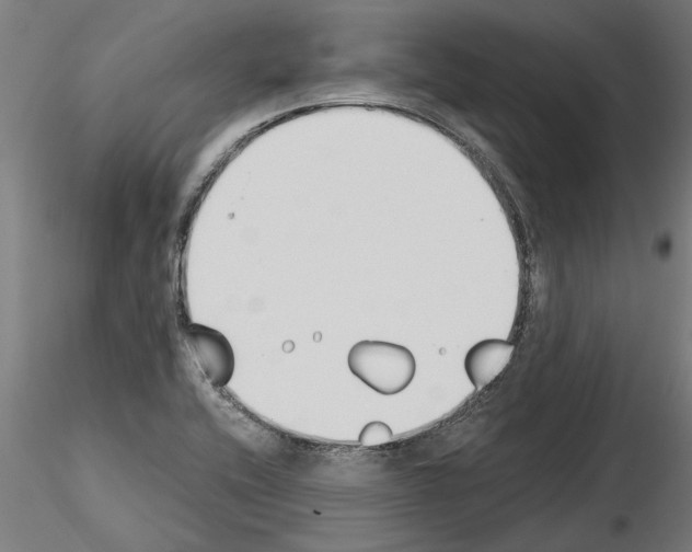 X0000115241416200912111044