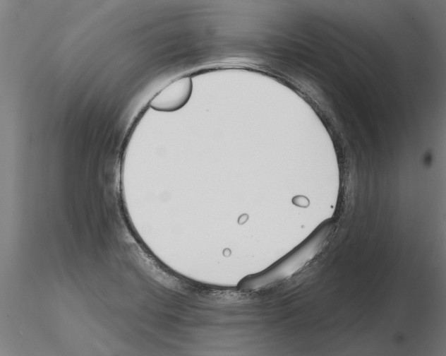 X0000115241420200912111044