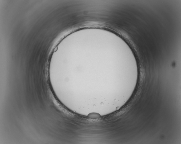 X0000115241421200912111044