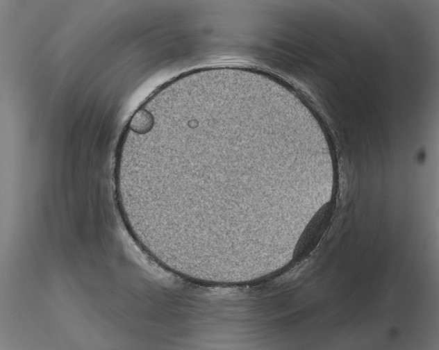 X0000115241422200912111044