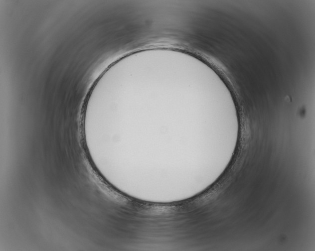 X0000115241423200912111044