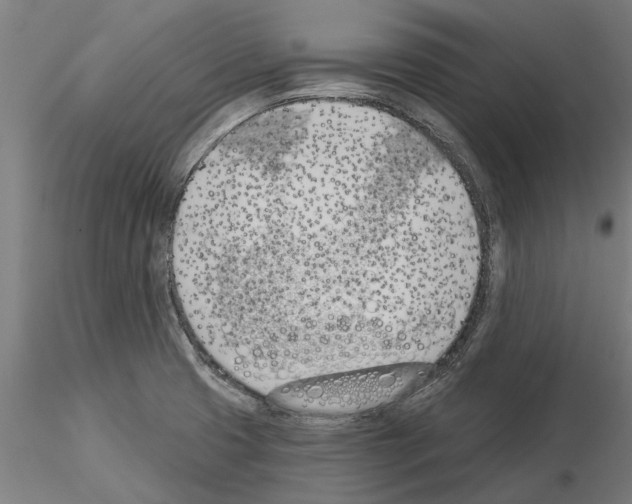 X0000115241425200912111044