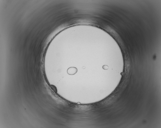 X0000115241427200912111044