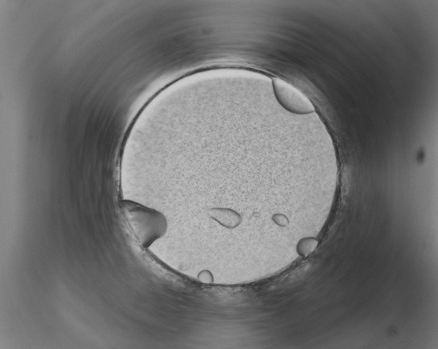 X0000115241428200912111044