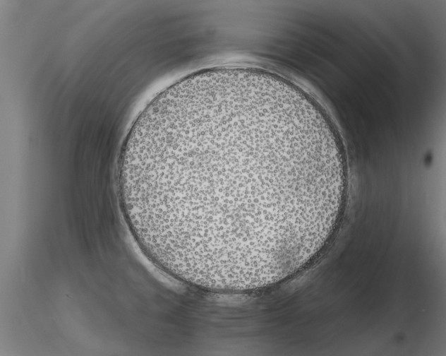 X0000115241429200912111044