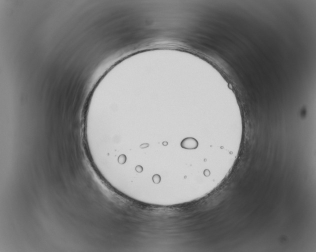 X0000115241430200912111044