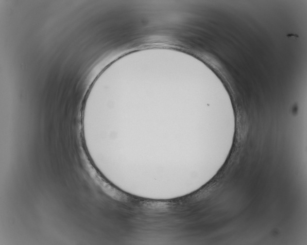 X0000115241431200912111044