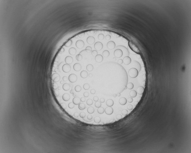 X0000115241432200912111044