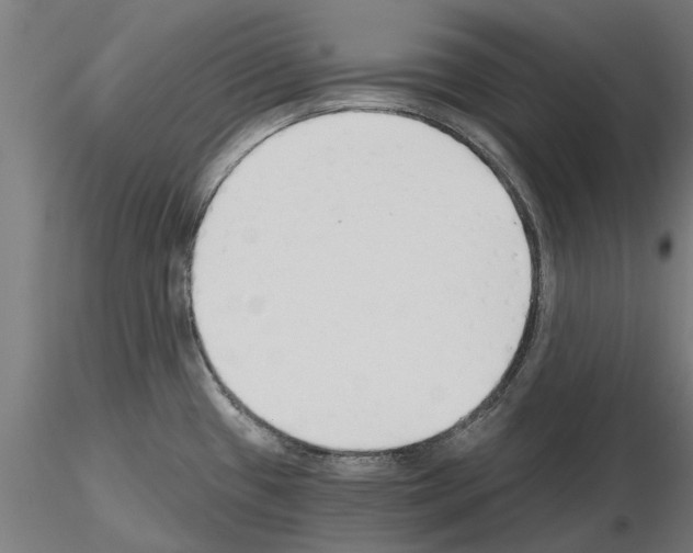 X0000115241433200912111044