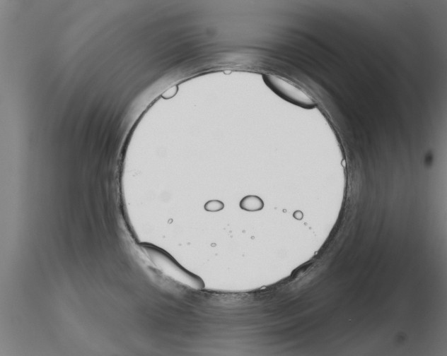 X0000115241434200912111044