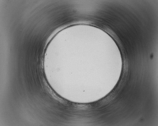 X0000115241436200912111044