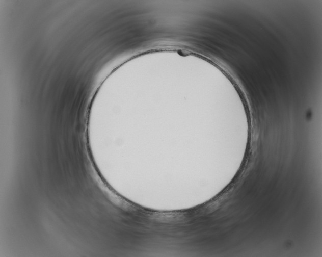 X0000115241437200912111044