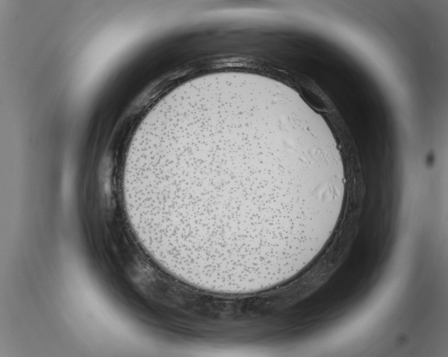 X0000115241438200912111044