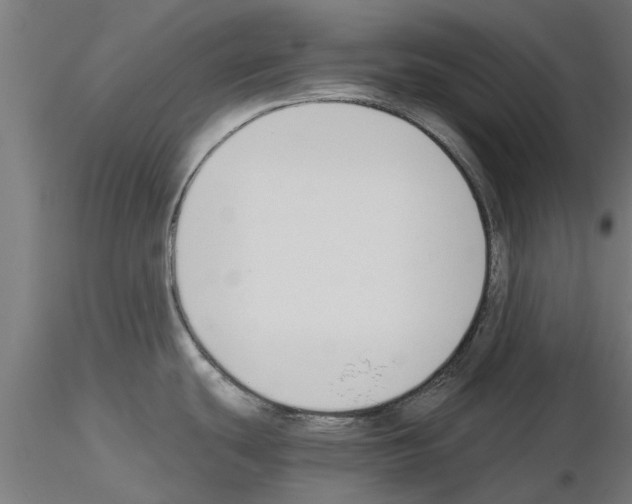 X0000115241439200912111044