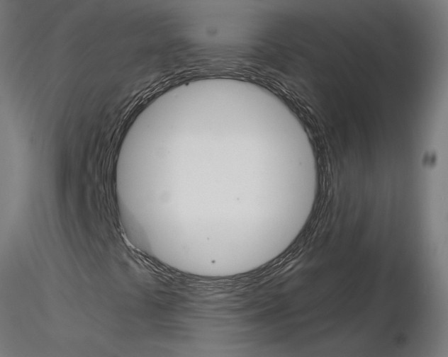 X0000115241441200912111043