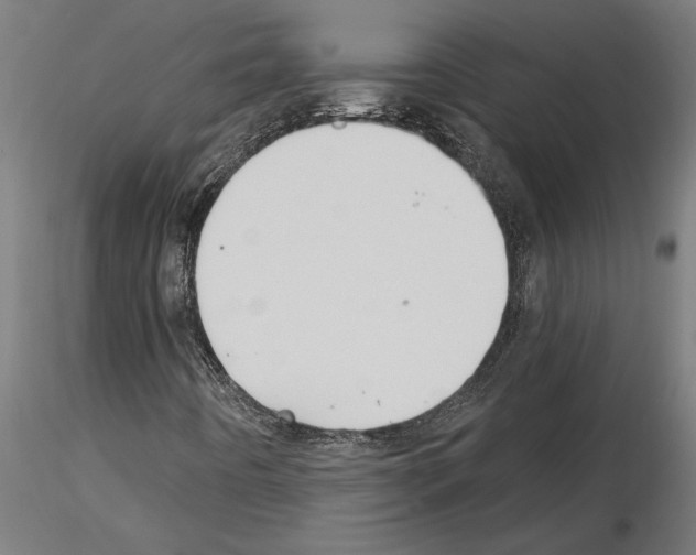 X0000115241442200912111043