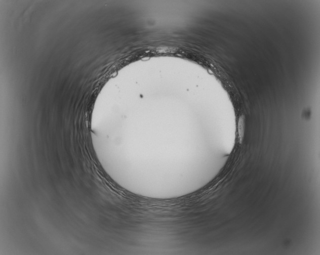 X0000115241443200912111043