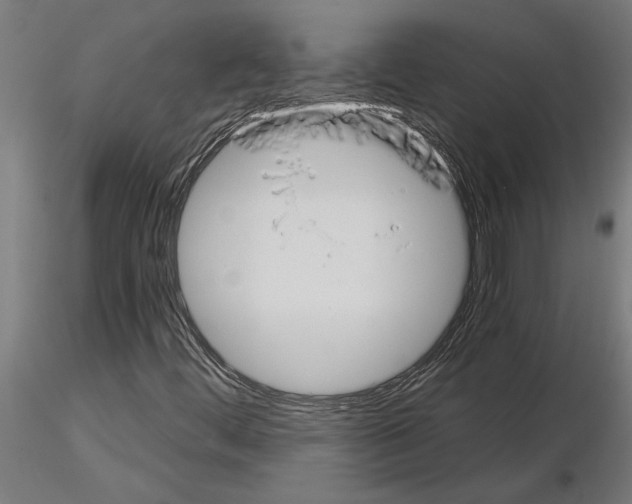 X0000115241444200912111043