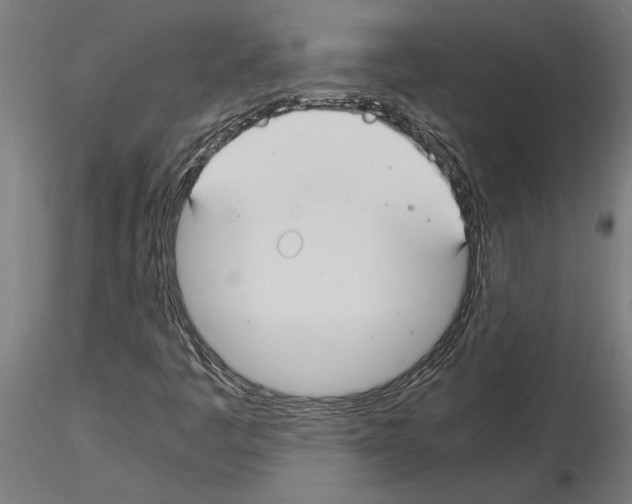 X0000115241445200912111043